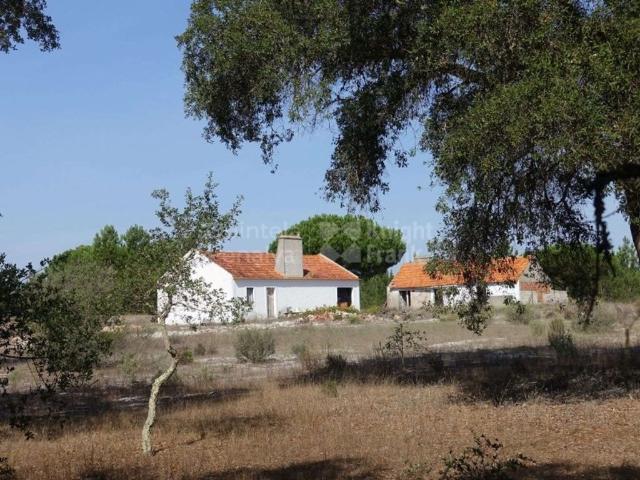 Terreno de 87 m2 à venda Grândola, Setúbal