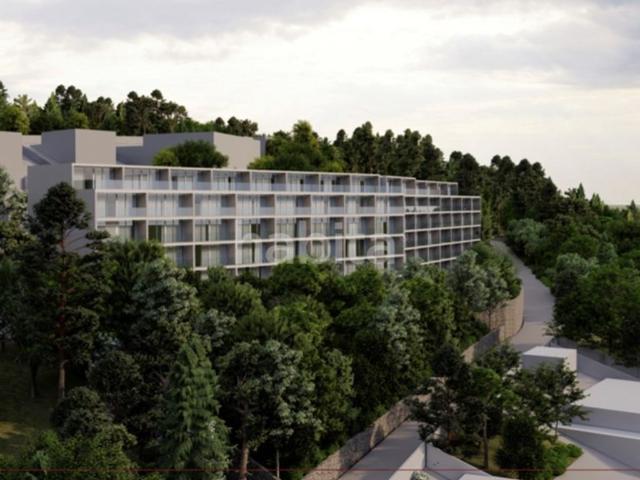 Terreno de 8834 m2 Tondela, Viseu
