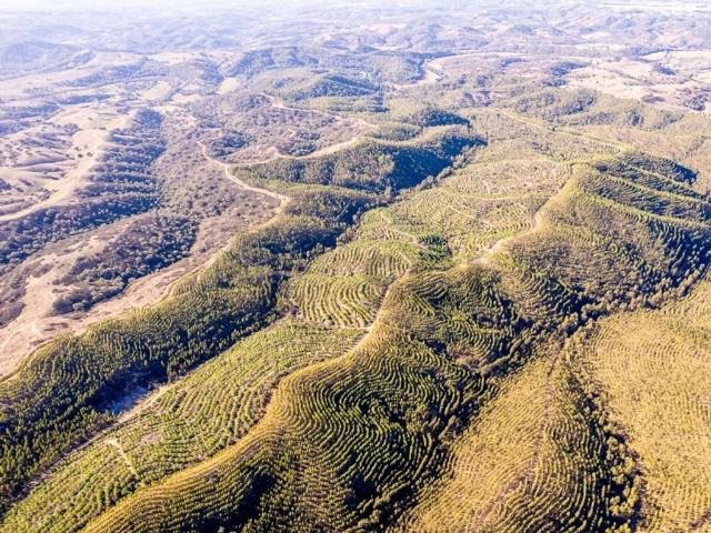 Terreno de 800000 m2 à venda Odemira, Beja