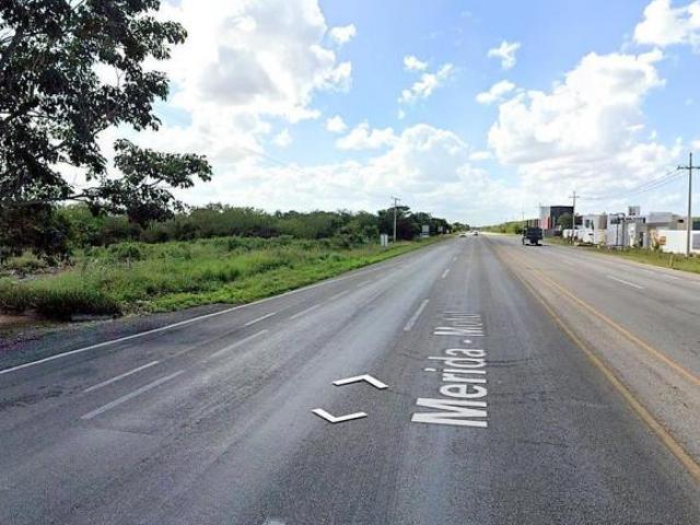 Terreno de 8000m2 sobre carretera Mérida Motul en el Km 5.5