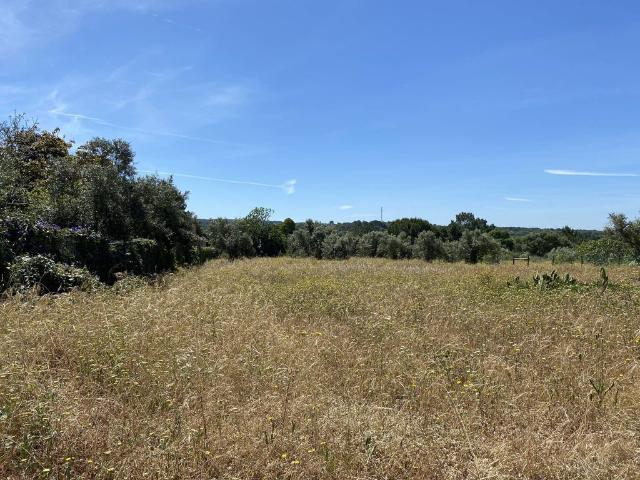 Terreno de 800 m2 Melides, Portugal