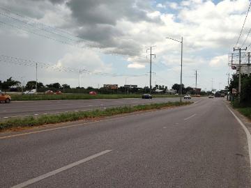 Terreno de 800 m2 sobre Carretera a Progreso Km 12 Xcanatun
