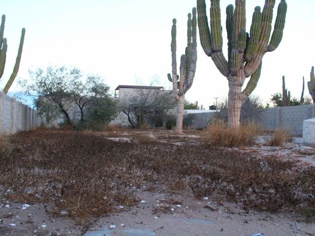 Terreno de 800m2 en renta en El Centenario