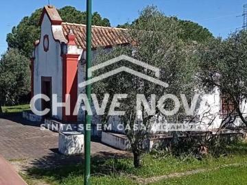 São Bartolomeu de Messines, Concelho de Silves, Distrito de Faro, Algarve