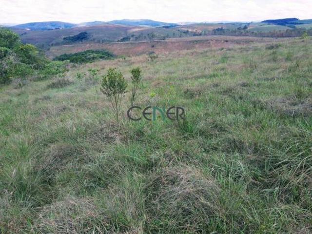 Terreno de 80 ha em Andrelãndia MG