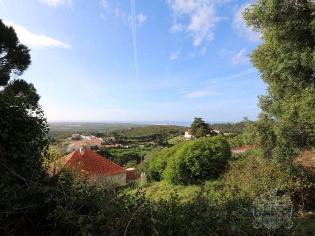 Terreno de 819 m2 à venda Cascais, Portugal
