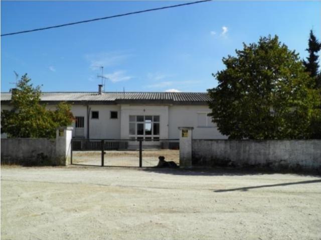 Terreno de 820 m2 Sao Miguel do Rio Torto, Abrantes, Santarém