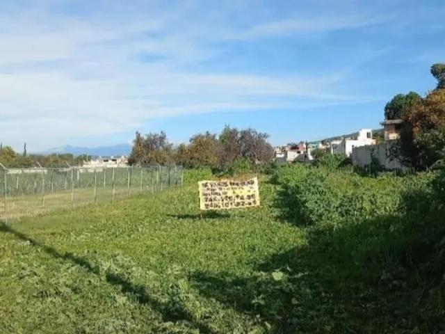 ? Terreno de 825 m bien ubicado en Panotla, Tlaxcala