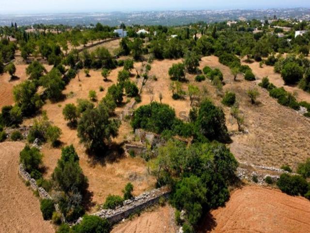 Terreno de 8.865 m² com ruína de 165 m² Potencial para habitação ou turismo rural até 2.000 m²