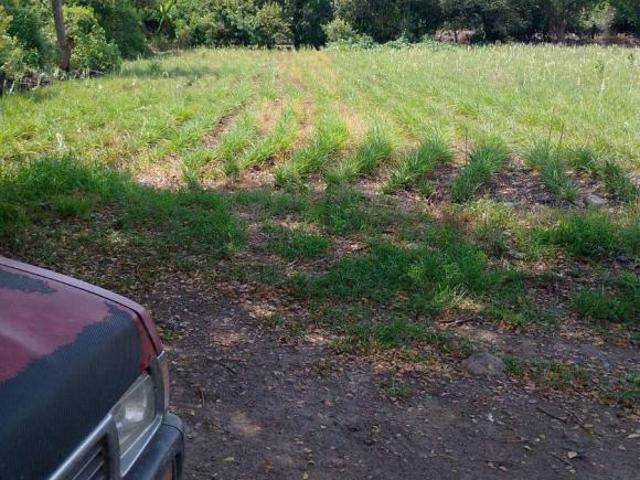 Terreno de 9715 m² en venta en Fraccionamiento Granjas Mérida