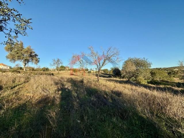 Terreno de 9770 m2 à venda Marcos Mendes, Loulé, Faro
