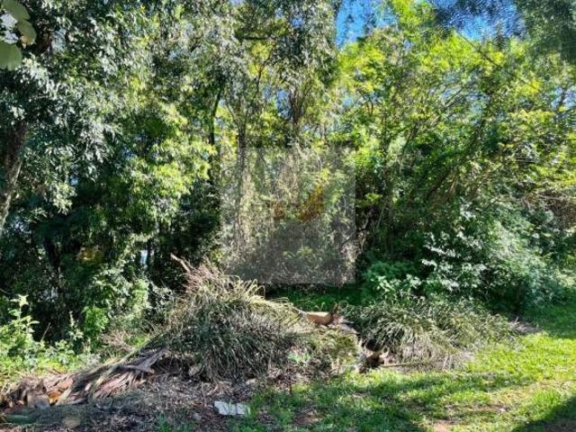 Terreno de 990 m² à Venda no Bairro Floresta em Dois Irmãos | M3R Imóveis