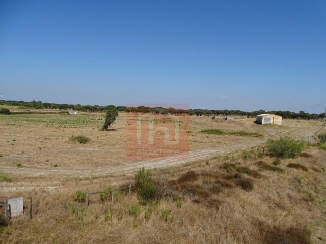 Terreno de 90000 m2 Benavente, Portugal