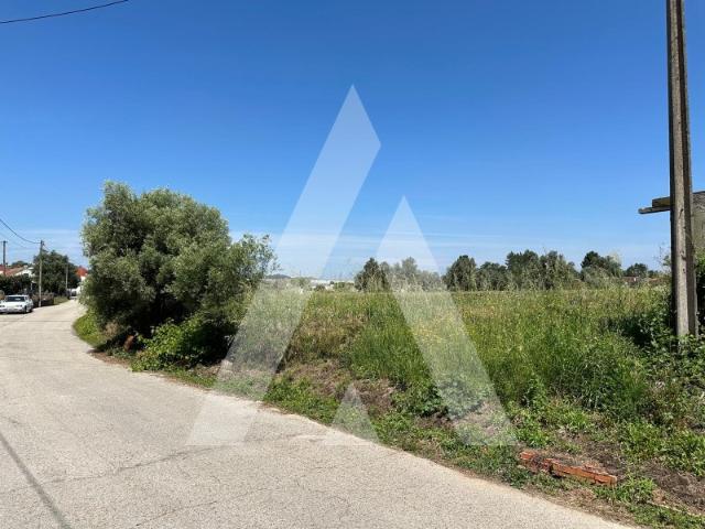 Terreno de 900m2 com 23 metros de frente em Avelas de Caminho, Anadia
