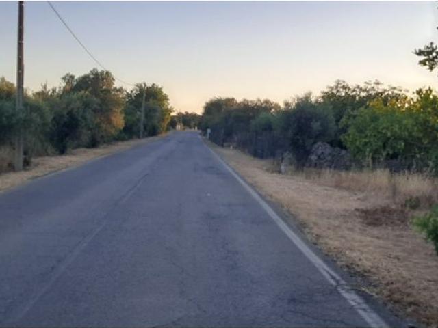 Terreno de 9307 m2 Vilarinhos, São Brás de Alportel, Faro