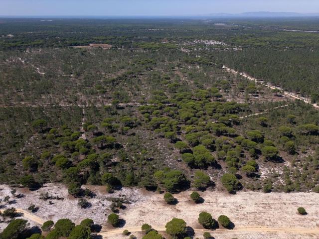 Terreno de 93920 m2 à venda Grândola, Portugal