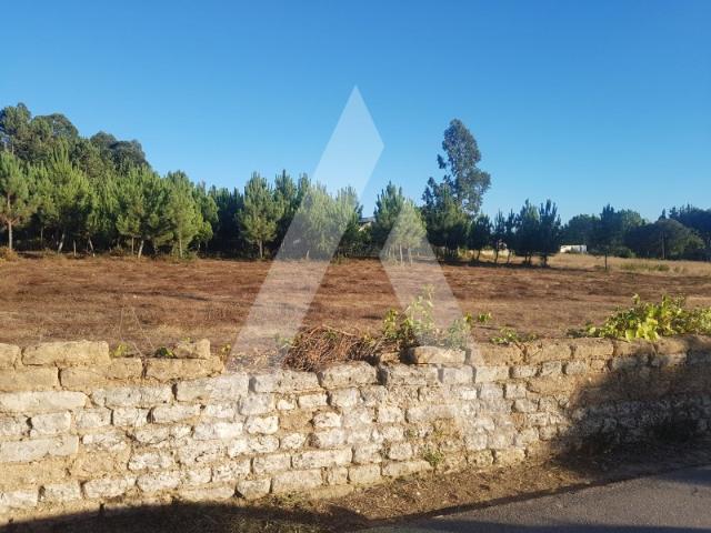 Terreno de 9.000 m2 em Sangalhos ao lado do Velódromo