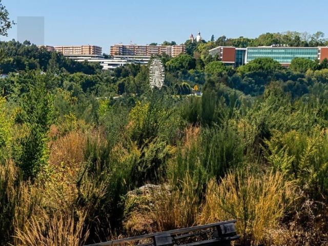 Terreno de 9.000 m² em Milhundos com a Melhor Vista Panorâmica sobre Penafiel