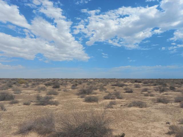 Terreno de 9.8 ha en venta en Ejido Las L?grimas, Puerto Pe?asco