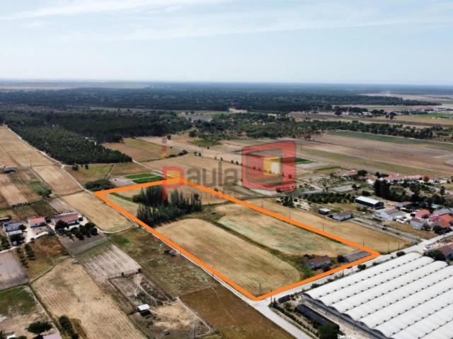 TERRENO DE 9HA COM VIABILIDADE PARA 16 FOGOS TAIPADAS