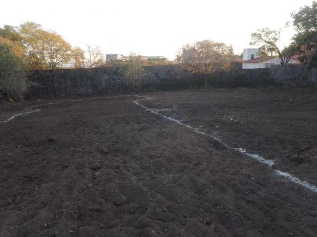Terreno Delicias