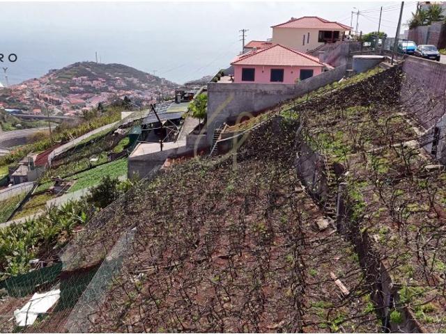 Terreno deslumbrante em Câmara de Lobos