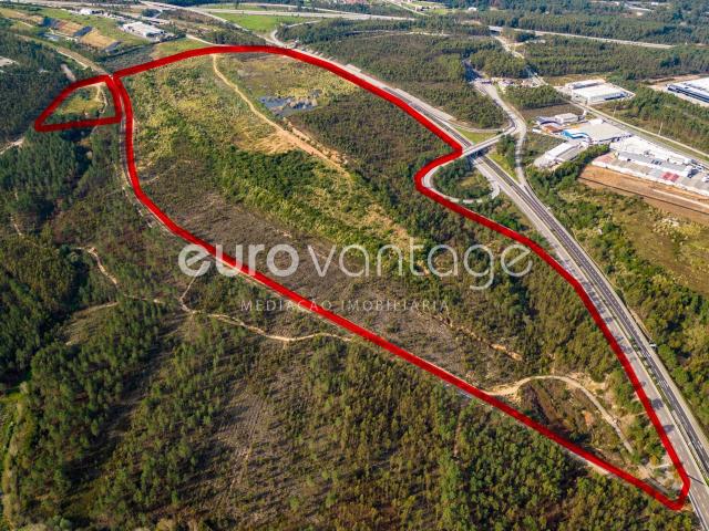 TERRENO DESTINADO A INDUSTRIA BAROSA LEIRIA