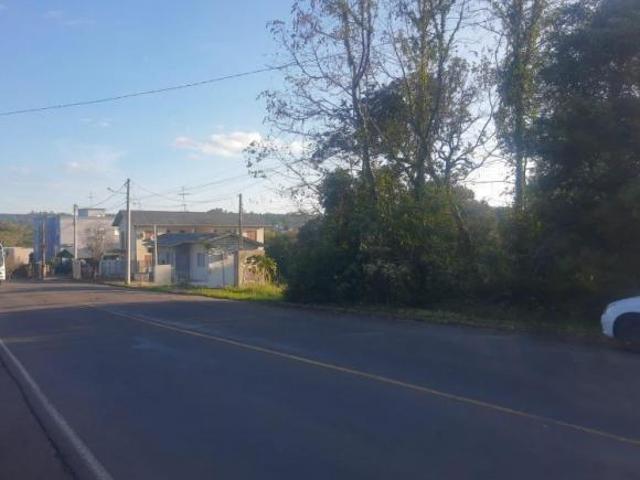 Terreno Diferenciado no Primavera