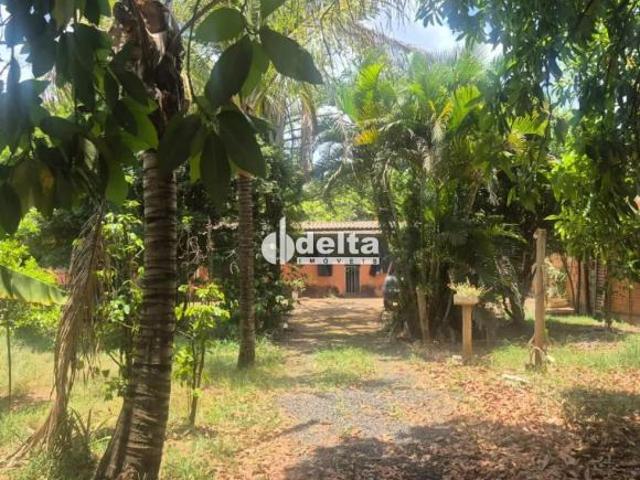 Terreno disponível para venda no bairro Morada Nova em Uberlândia MG