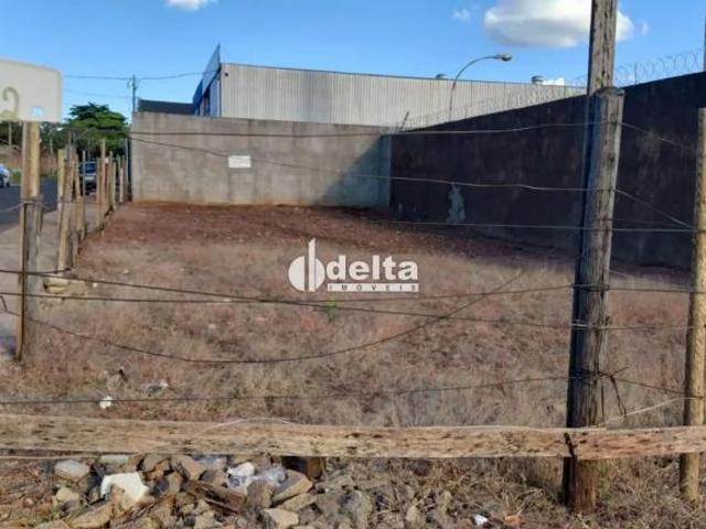 Terreno disponível para venda no bairro Marta Helena, em Uberlândia MG