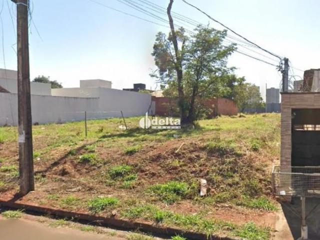 Terreno disponível para venda no bairro Shopping Park em Uberlândia MG