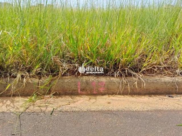 Terreno disponível para venda no bairro Umuarama em Uberlândia MG