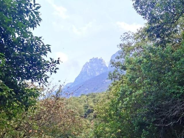 TERRENO DOBLE FRENTE EN OLINALA