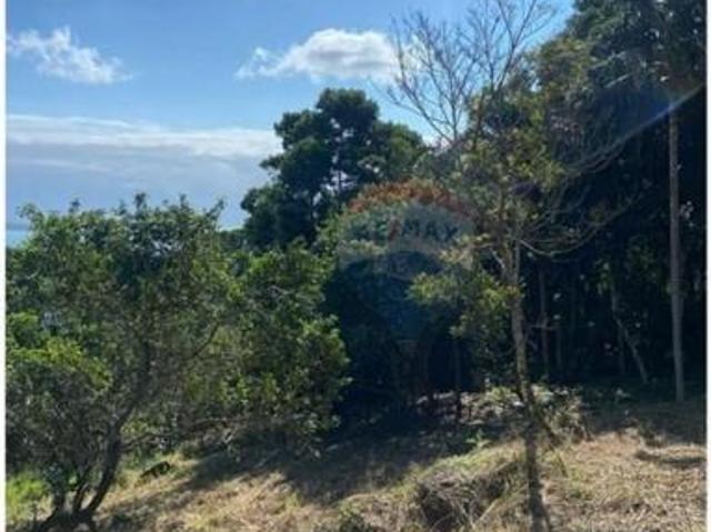 Terreno dos Sonhos em S. Tereza, Ilhabela