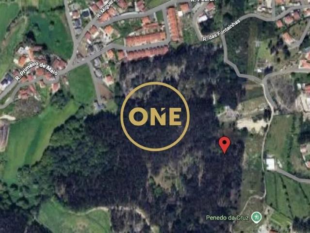 Terreno Eucaliptal com 6000m² – Guardizela, Guimarães
