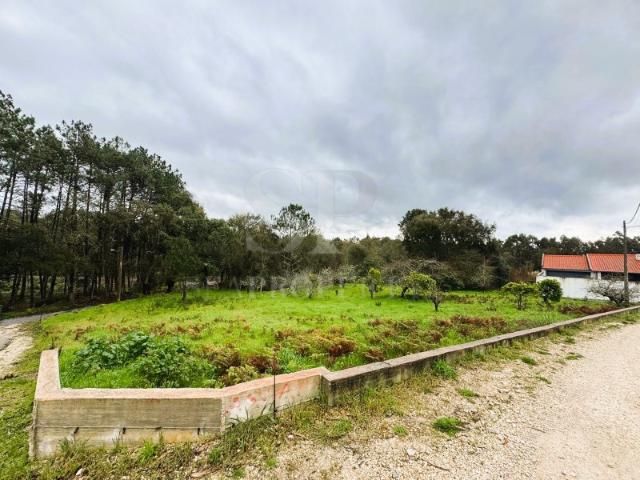 Terreno Excepcional em Pataias Oportunidade Única!