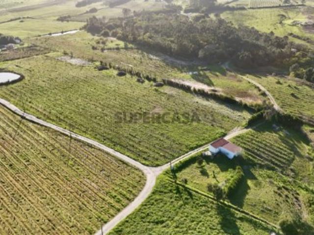 Terreno Exclusivo com 23.410m² na Costa Vicentina Produção, Natureza e Privacidade