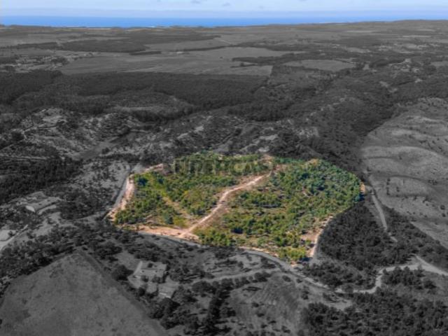 Terreno Exclusivo com 8 ha em São Teotónio Oportunidade Única no Coração da Costa Vicentina
