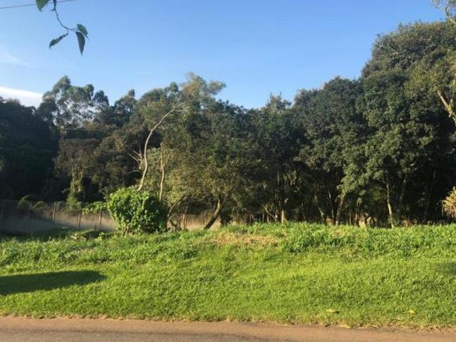 TERRENO EXCLUSIVO COM VISTA PERMANENTE PARA A MATA | 752 m² | PAYSAGE SEREIN