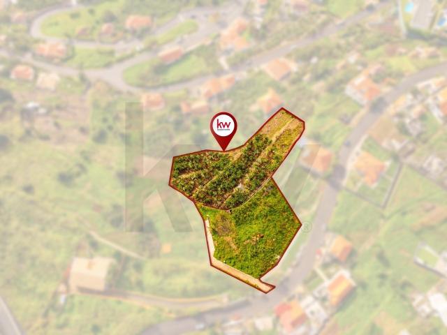 Terreno Exclusivo de 4.970 m² com Vista Mar – Sítio dos Palheiros, Arco da Calheta