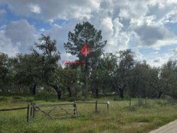 Terreno Exclusivo em Mata Duque 23.000m² de Natureza e Privacidade