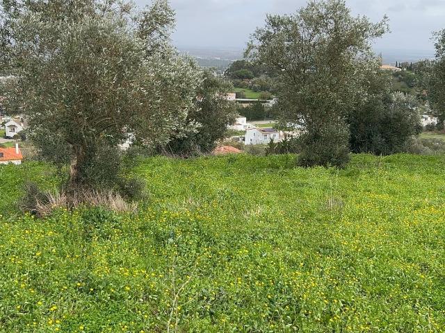 Terreno Exclusivo em Palmela: Onde a Natureza encontra a Sofisticação