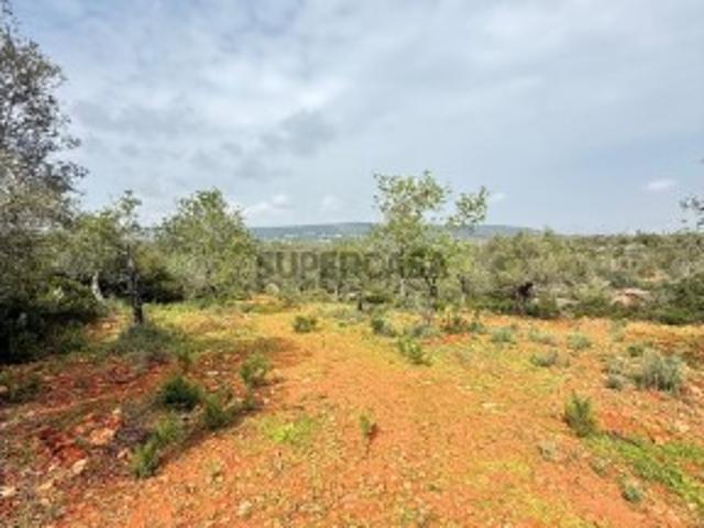 Terreno Exclusivo no Algarve Natureza, Espaço e Autenticidade