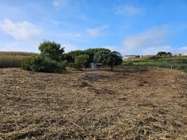 Terreno Exclusivo no Facho, Foz do Arelho – 1.700m2!