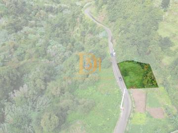 Terreno e armazém em Boaventura com Potencial de Construção e Localização Privilegiada