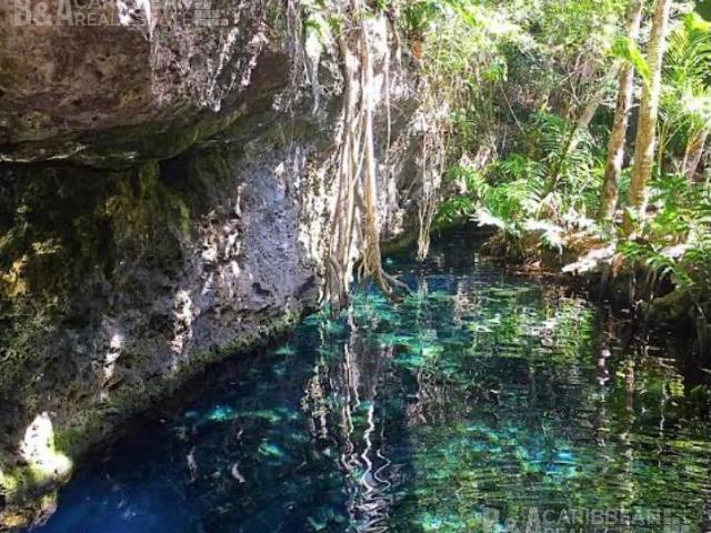 Terreno Ecol?gico en Venta en Pueblo Sacb?, Playa del Carmen, Quintana Roo