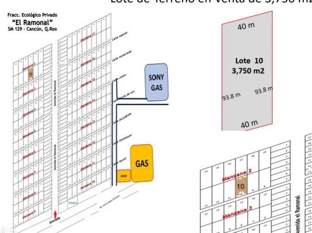 Terreno Ecológico, Venta de 3,750 m2, Fracc. El Ramonal, Km 15, Cancún Mérida