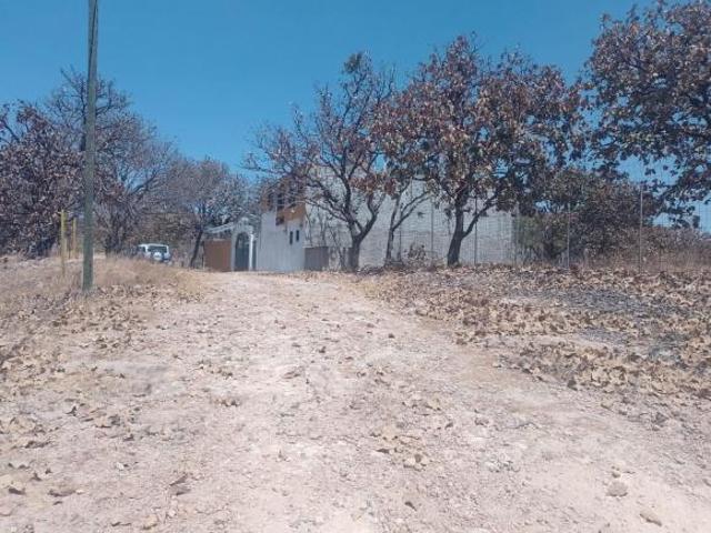 TERRENO ECOLOGICO CAMPESTRE EN MILPILLAS ZAPOPAN