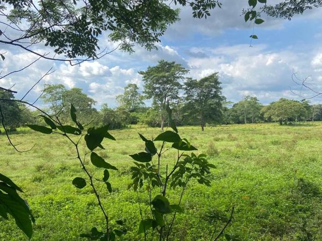 TERRENO EEN VENTA EN LA VIA CORTA COMALCALCO CUNDUACAN