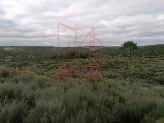 Terreno, Eirado